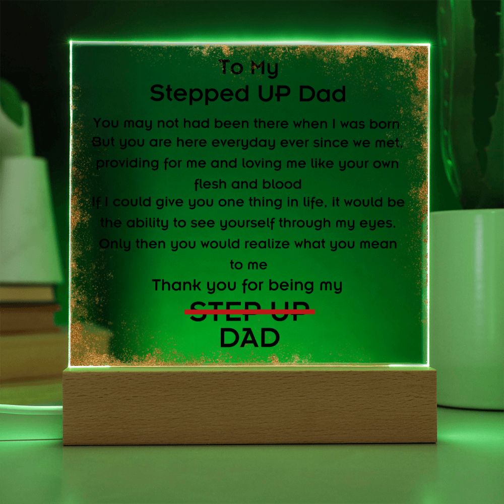 To Stepped Up Dad - Acrylic Plaque - If I Could Only Give You - PM0125