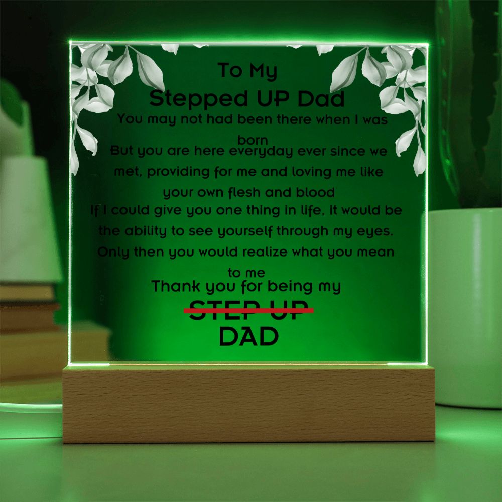 To Stepped Up Dad - Acrylic Plaque - If I Could Only Give You - PM0127