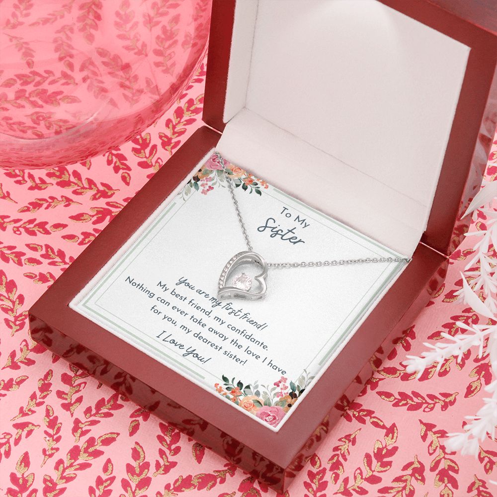 To My Sister- Nothing Can Take Away The Love I Have For You- Love Necklace