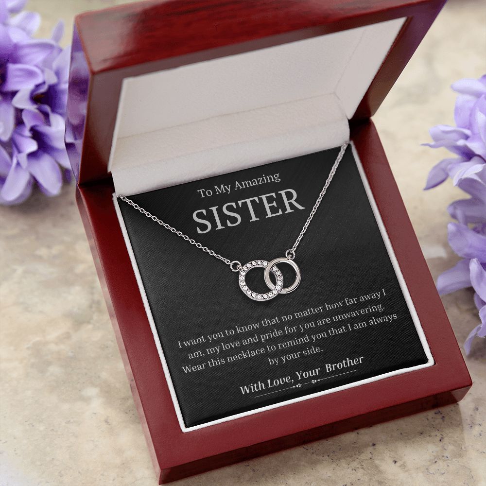 To My Amazing Sister, from Brother - My Love And Pride For You Is Unwavering - The Perfect Pair Necklace