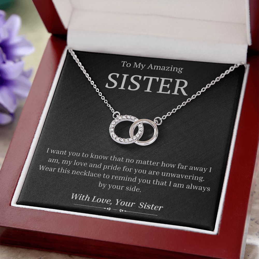 To My Amazing Sister, from Sister - My Love And Pride For You Is Unwavering - The Perfect Pair Necklace