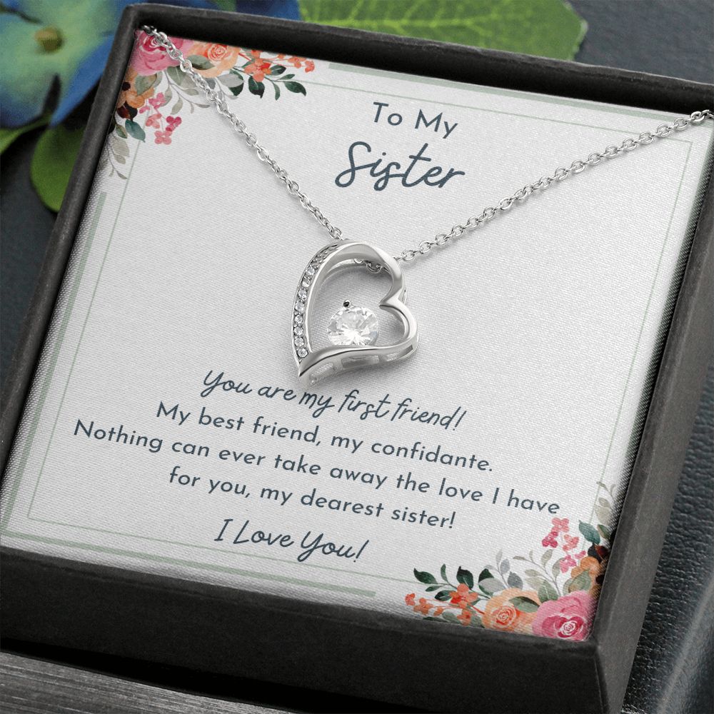 To My Sister- Nothing Can Take Away The Love I Have For You- Love Necklace