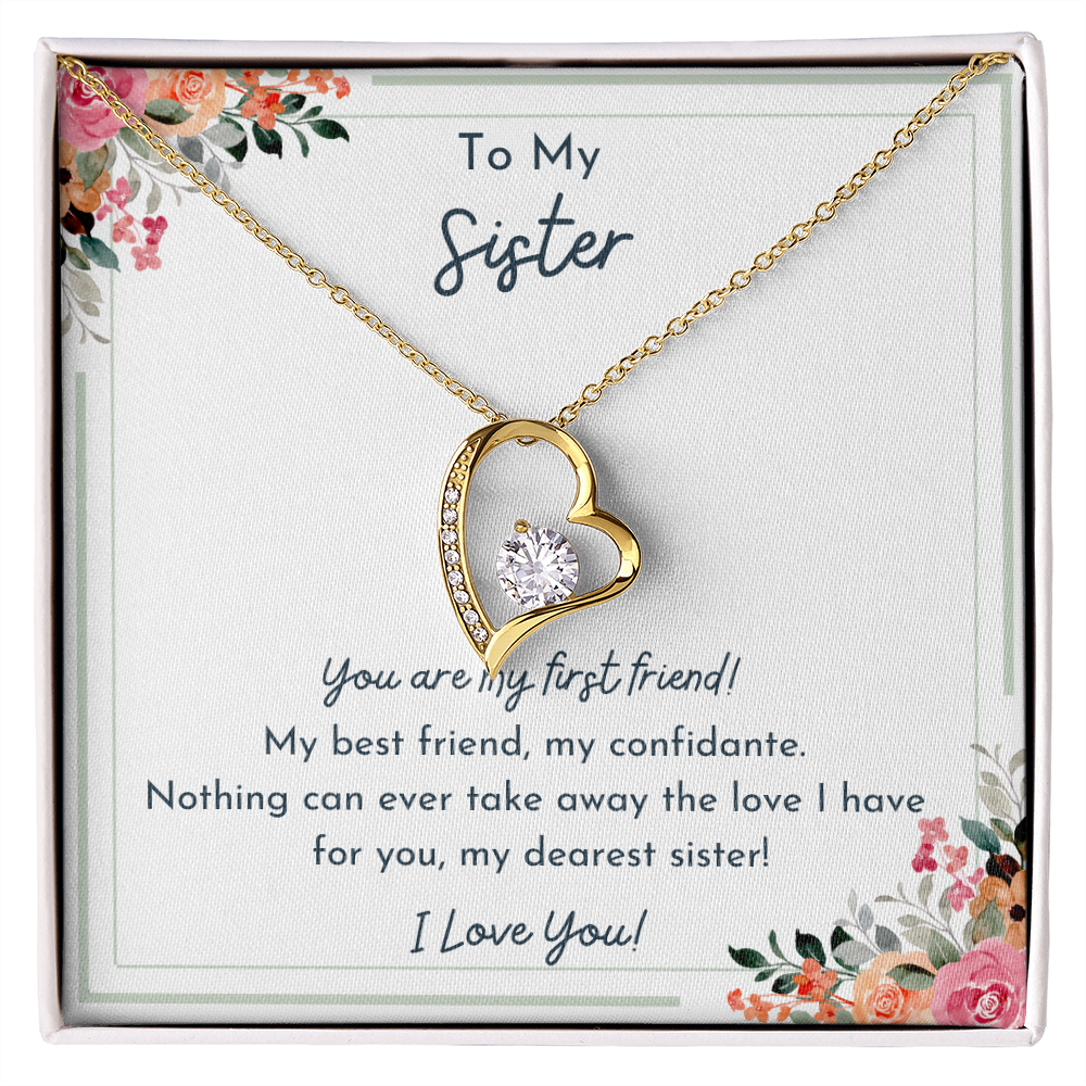 To My Sister- Nothing Can Take Away The Love I Have For You- Love Necklace