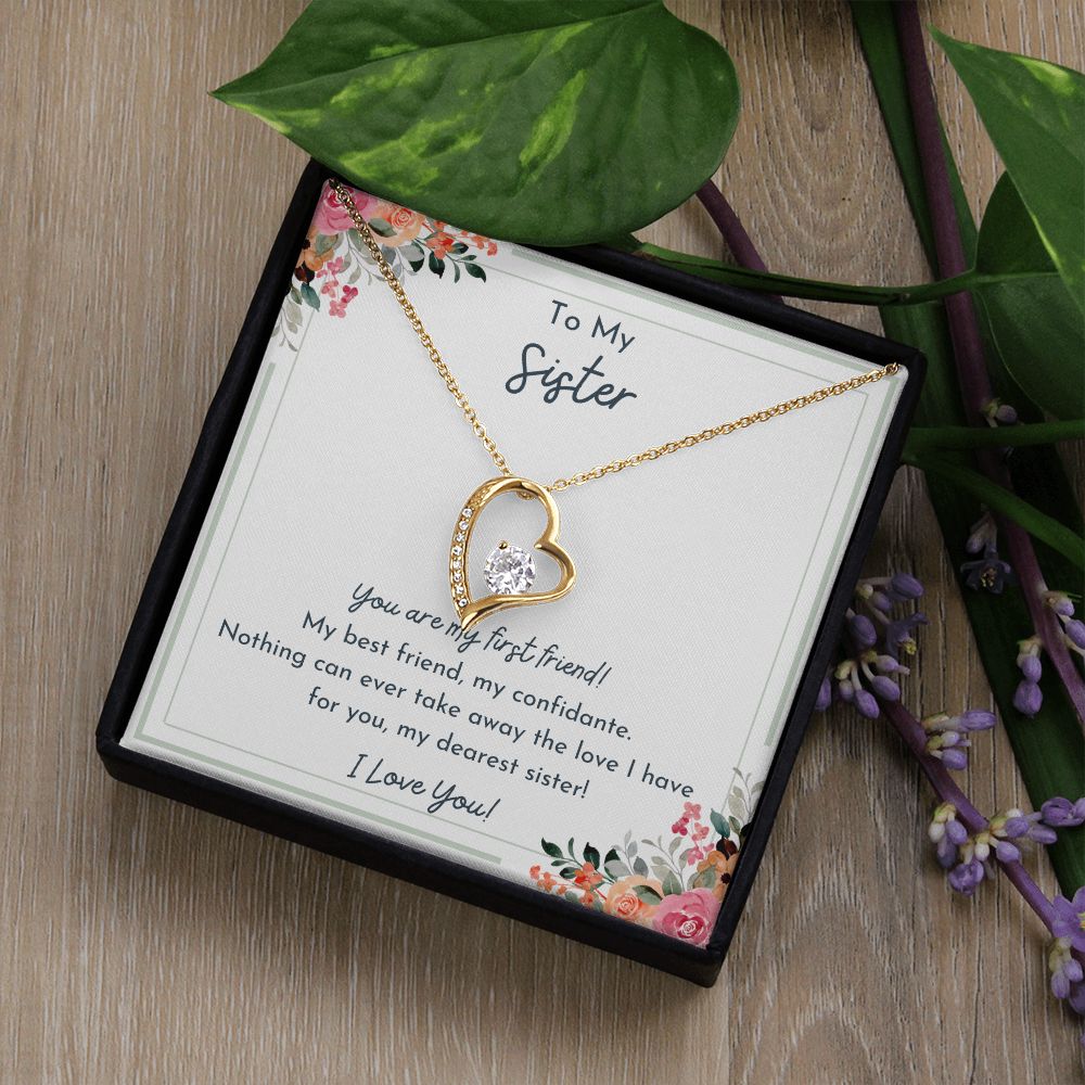 To My Sister- Nothing Can Take Away The Love I Have For You- Love Necklace