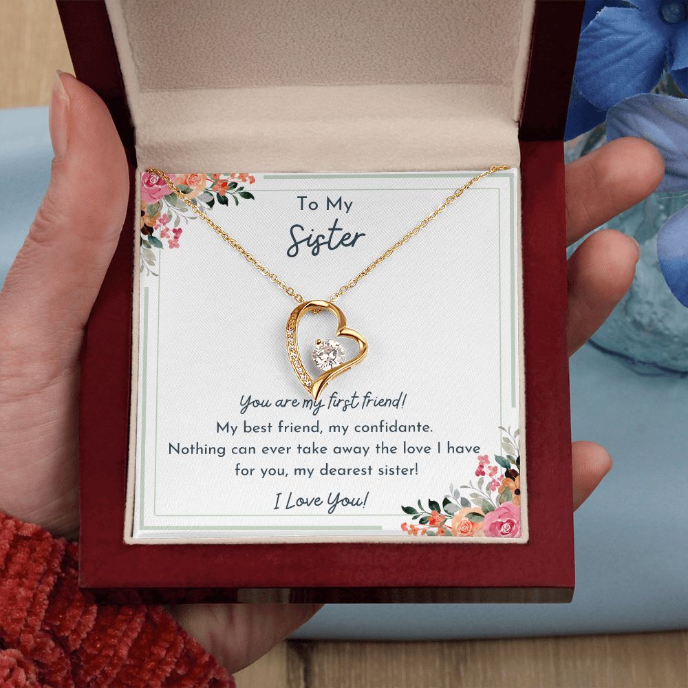 To My Sister- Nothing Can Take Away The Love I Have For You- Love Necklace