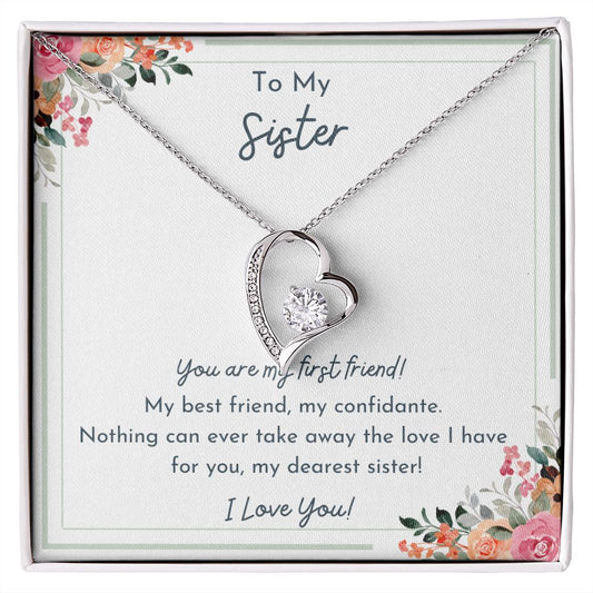 To My Sister- Nothing Can Take Away The Love I Have For You- Love Necklace