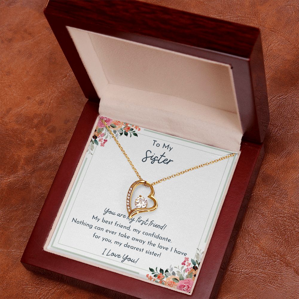 To My Sister- Nothing Can Take Away The Love I Have For You- Love Necklace